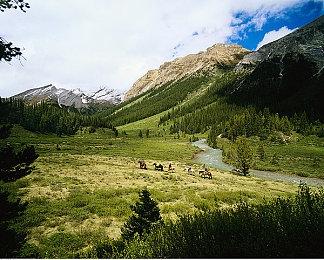 《魔兽世界》社区重新在网易大神上线 停服通知已删除