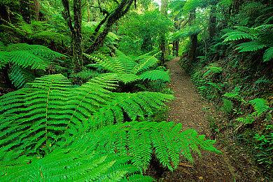 EA承认《战地2042》没有达到预期 仍计划推出重大更新