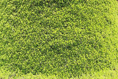 英国实体周榜：动画电影助攻 马里奥全系列销量上升