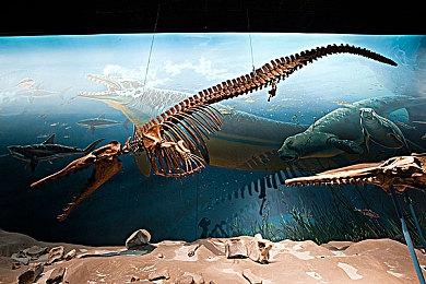 《Grym: Knights in the Garden》Steam页面开放 不支持中文